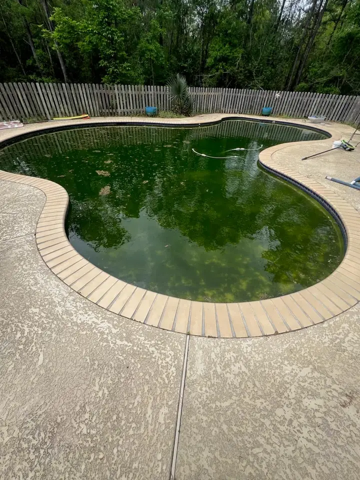 Before - Green pool